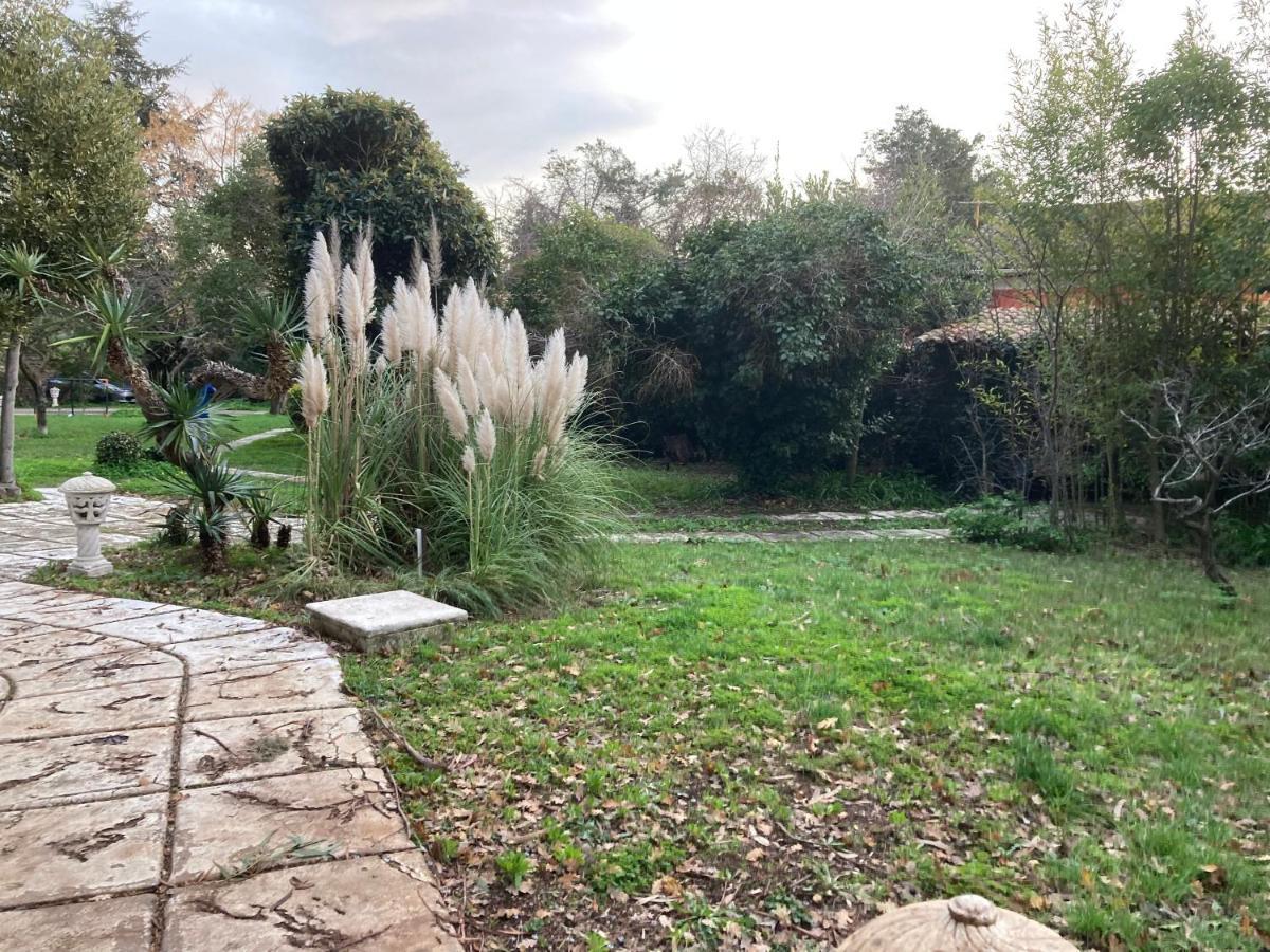 Gite Encore Un Soir Hyères Exteriér fotografie